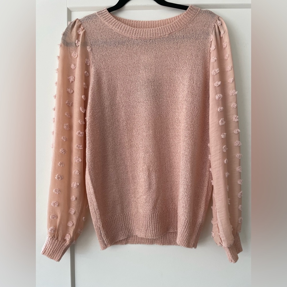 NWT - Sweet blush- colored sweater with sheer sleeves and texture detail.
